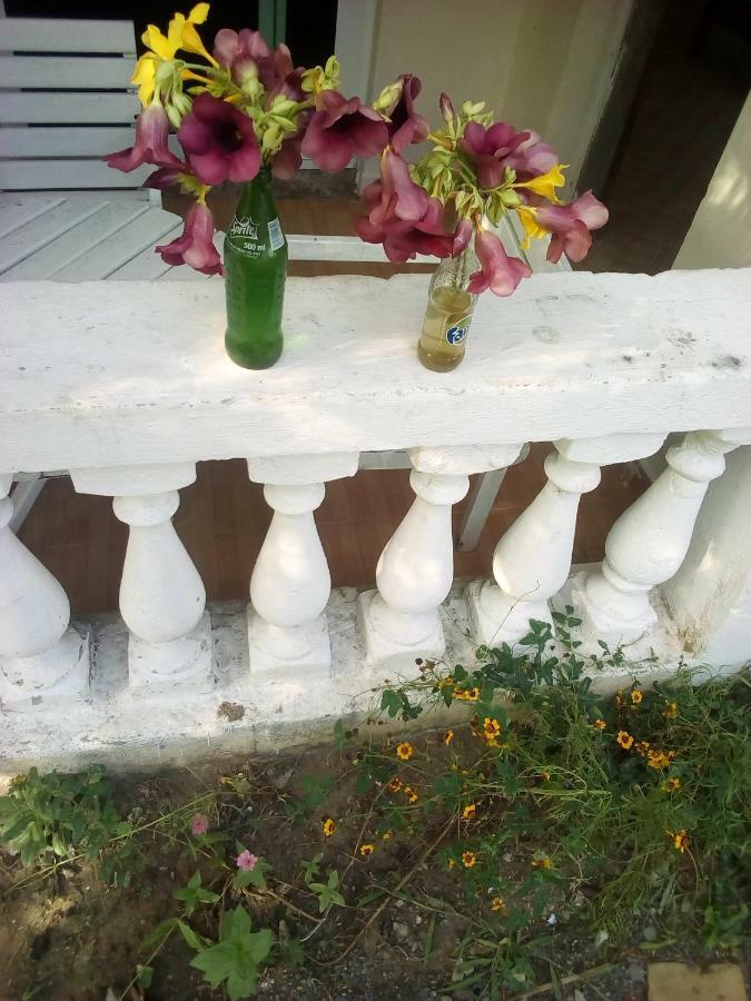 Savannah Cottages 몸바사 외부 사진